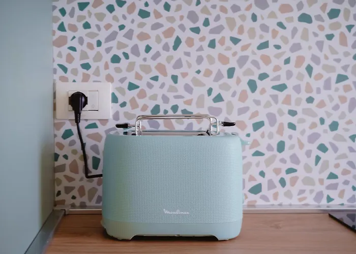 Domus Gianicolensis Daire Roma